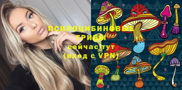 a pvp Арсеньев