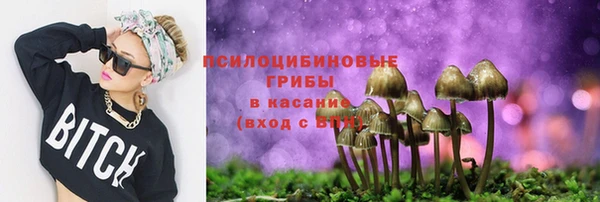 меф Нягань