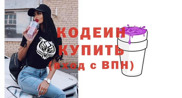 прущие грибы Няндома