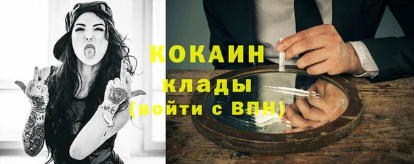 прущие грибы Няндома